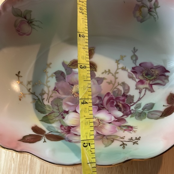 Vintage Schumann Arzberg Bavaria Hand-painted WILD ROSE Oval Relish/Celery Dish. - Picture 10 of 10